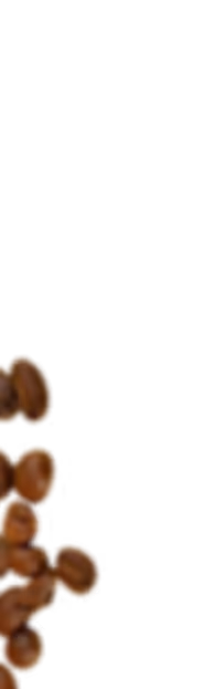 Close-up of roasted coffee beans scattered on a white background.